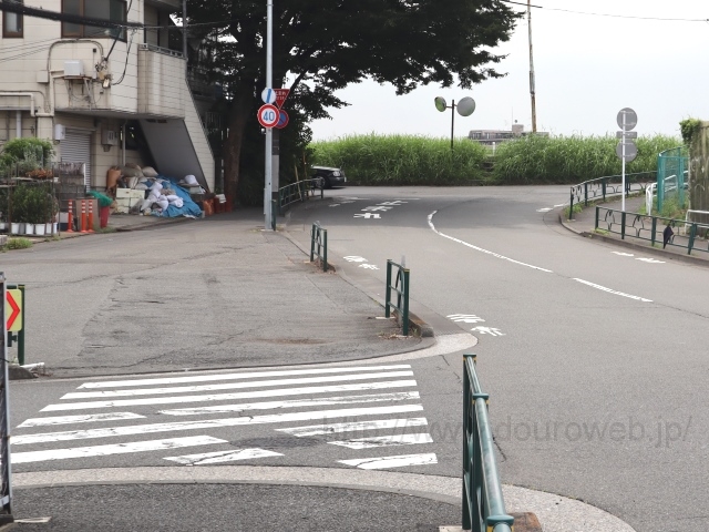 野毛一丁目横断歩道付近の写真