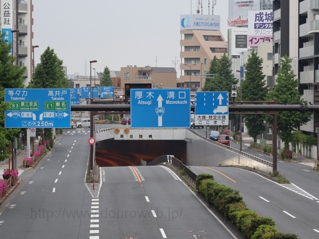 瀬田陸橋の写真