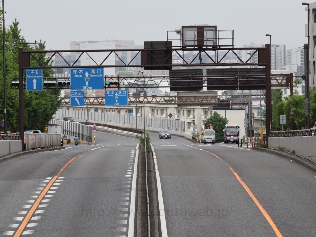 新二子橋分岐の写真