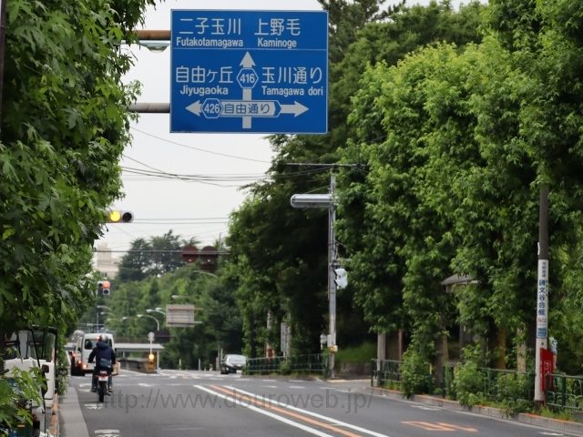 東京医療センター前交差点の写真
