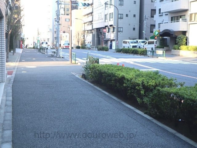 ���Ɓi�����j�̎ʐ^