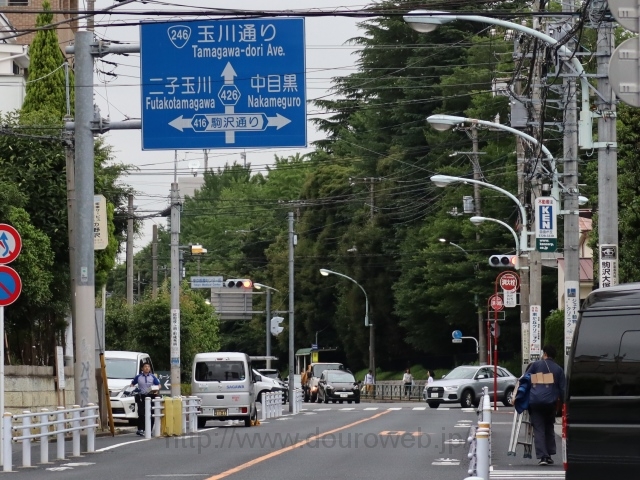 東京医療センター前交差点の写真