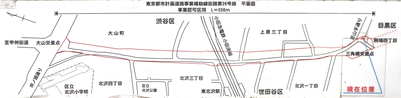 ���Ɓi���k��j�̎ʐ^