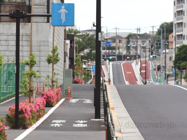 ���Ɓi�O�h�j�̎ʐ^