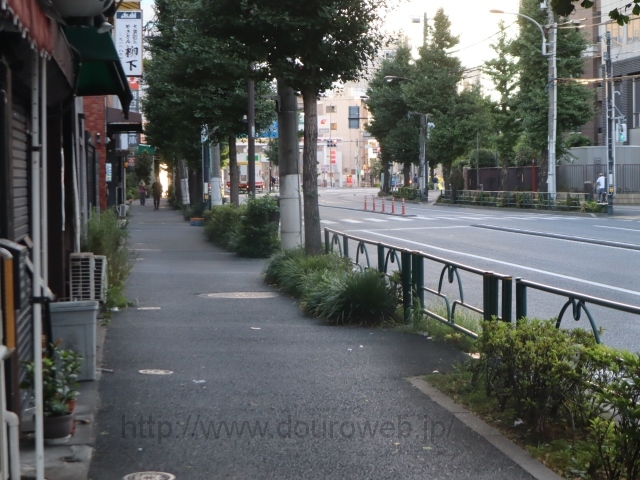 ���Ɓi������I���j�̎ʐ^