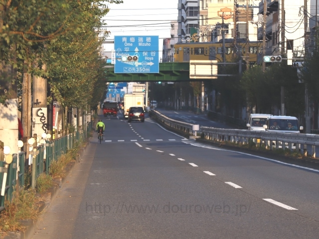 �V�~�X�����v�����_�̎ʐ^