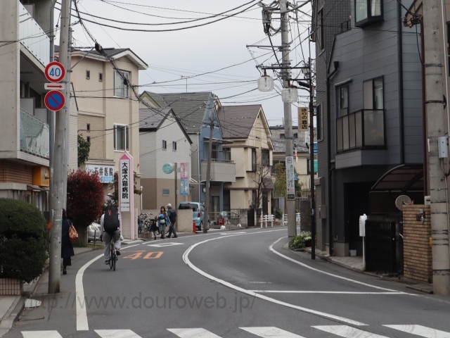 �@�؎��������_�̓��̌����_�̎ʐ^