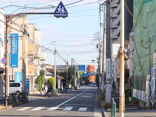 �]�����i�p�n�j�̎ʐ^