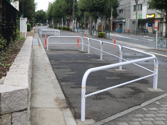 ���Ɓi����j�̎ʐ^