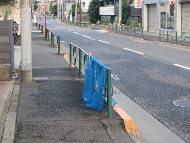 ���Ɓi���䑐�j�̎ʐ^