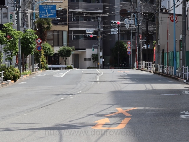 �ᏼ�������_�A�Ėڍ�i�p�n�j�N�_�̎ʐ^