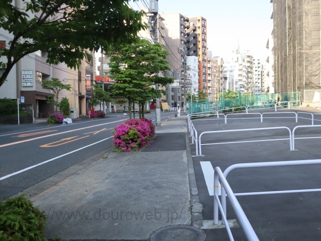 ���Ɓi�ᏼ���j�̎ʐ^