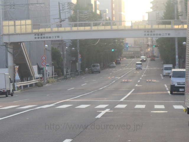 ���Ɓi�ڔ���j�̎ʐ^�̎ʐ^