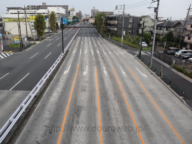 �J�������_�̎ʐ^