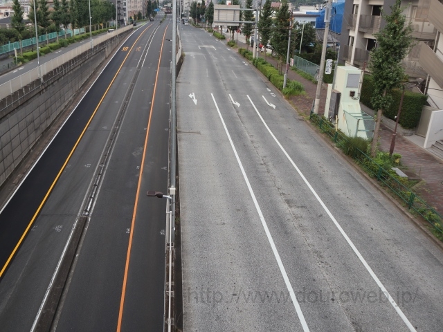 �J�������_�̎ʐ^