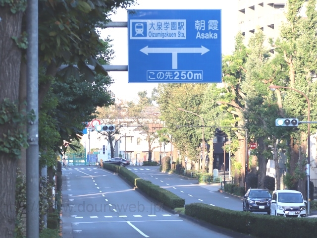 �k�������_�̎ʐ^