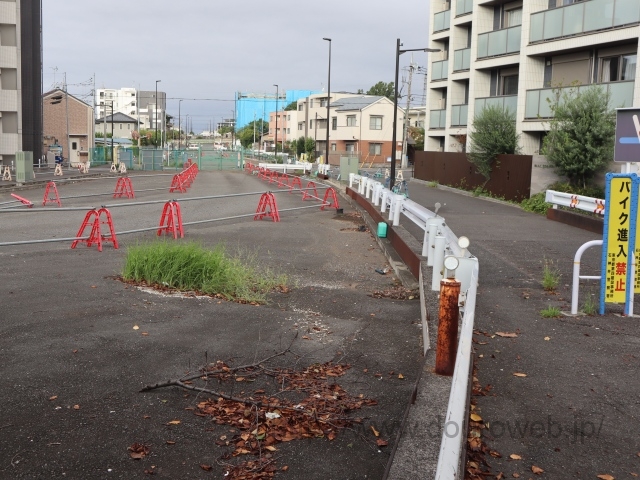 ���Ɓi���j�̎ʐ^