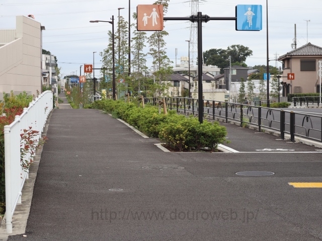 ���Ɓi���j�̎ʐ^