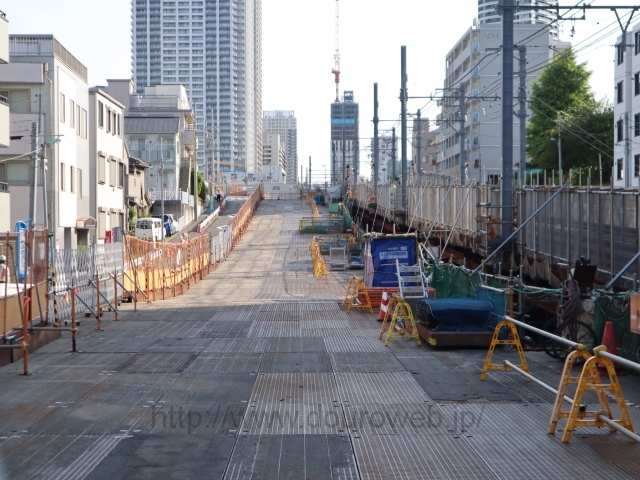 ���Ɓi�G�i���J�j�̎ʐ^