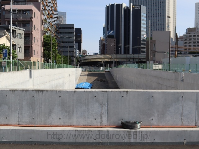 ���Ɓi�G�i���J�j�̏󋵂̎ʐ^