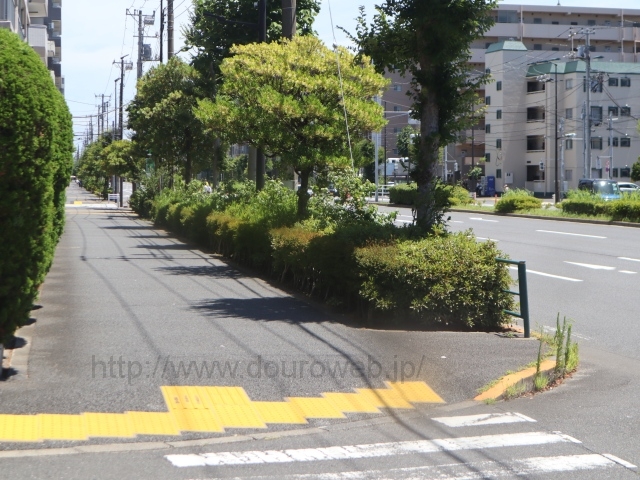 �����E�V�c�E�����y�n��搮�����Ƃ̎ʐ^