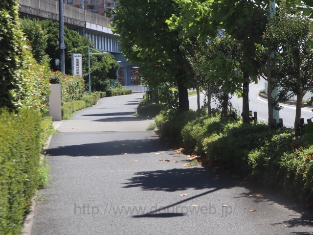 ���Ɓi�����j�̎ʐ^