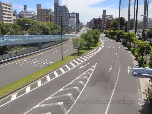 �]�ː싅��̑O�A���Ɓi�����j�I�_�̎ʐ^