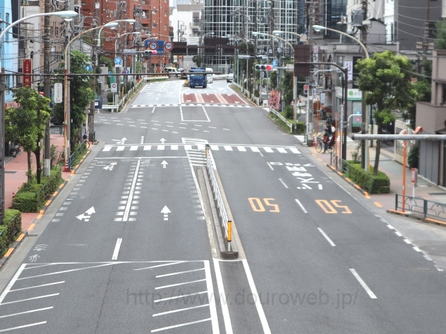 �T���p�[���r��O�����_�̎ʐ^