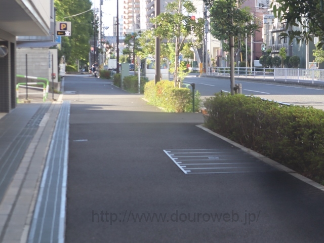 ���Ɓi���q�j�̎ʐ^