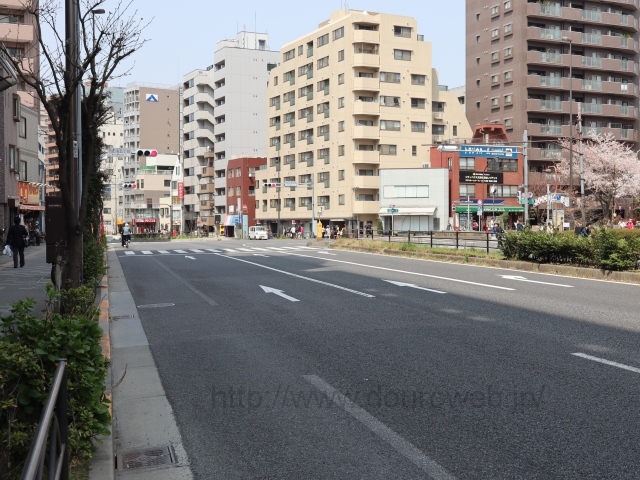 ���ΐ�ܒ��ڌ����_�̎ʐ^