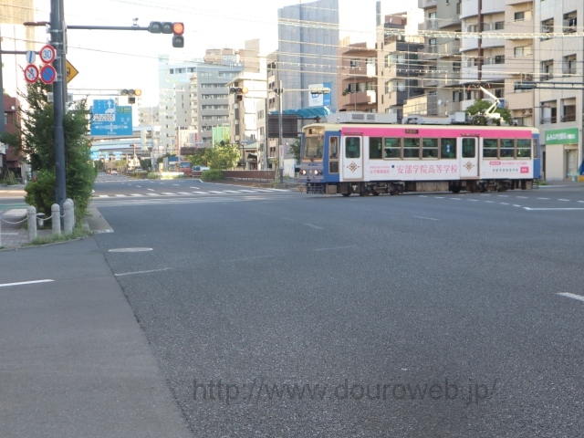 �s�d�r�����_�̎ʐ^