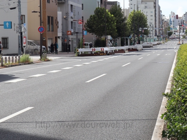 ���Ɓi����III���j�̎ʐ^