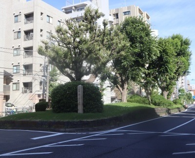 �������ꗢ�˂̎ʐ^