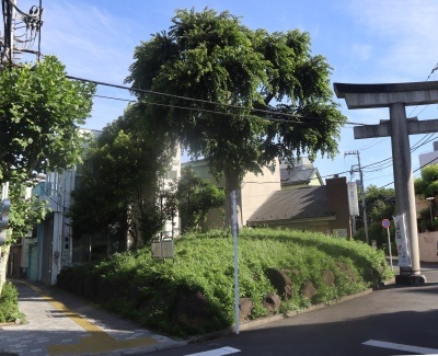 �������ꗢ�˂̎ʐ^