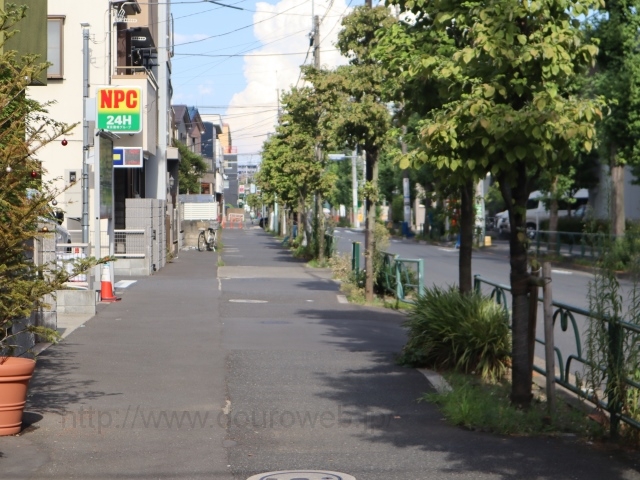 ���Ɓi�����j�̎ʐ^