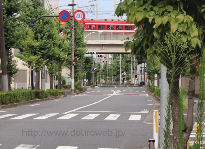 ���Ɓi�����j�̎ʐ^