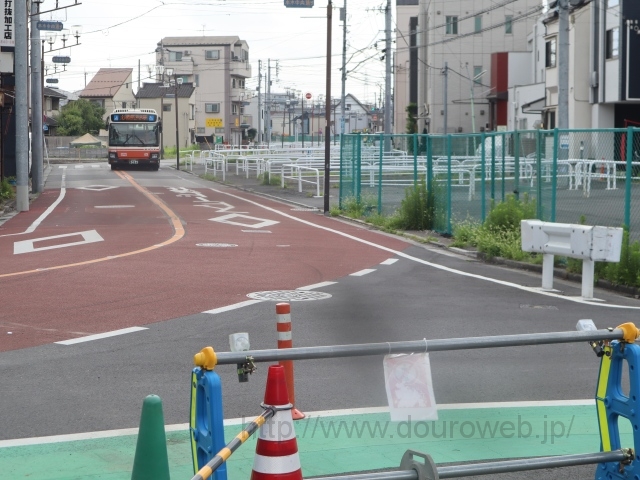 ���Ɓi�{�؁j�̎ʐ^