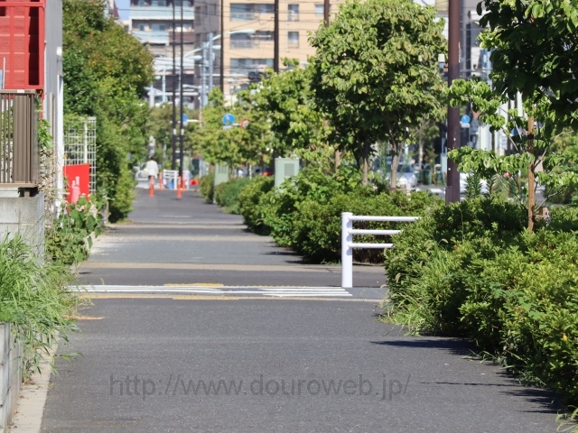 ���Ɓi�~�c����2�j�̎ʐ^