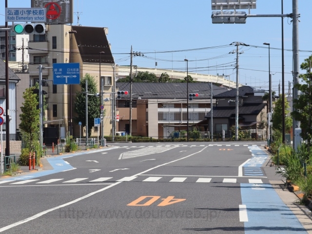 �ܕ��q�V���̐��̌����_�̎ʐ^