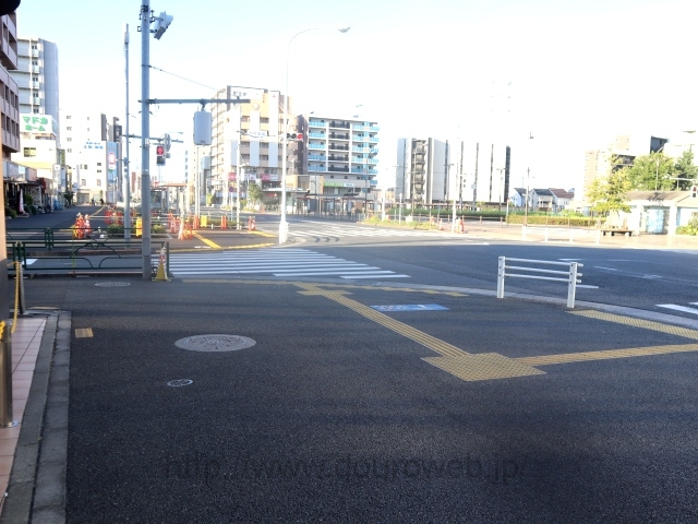 �Z���w�O�����_�̎ʐ^