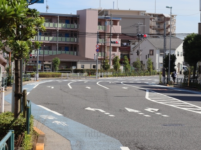 ��w�̓�̌����_�̎ʐ^