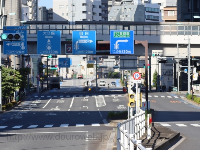 �V���c�����l�����_�̎ʐ^