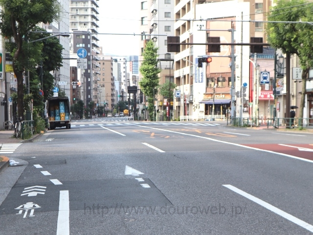 �V�_�������_�̎ʐ^