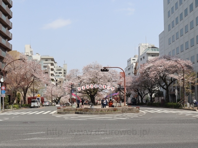 ���ΐ�ܒ��ڌ����_�̎ʐ^