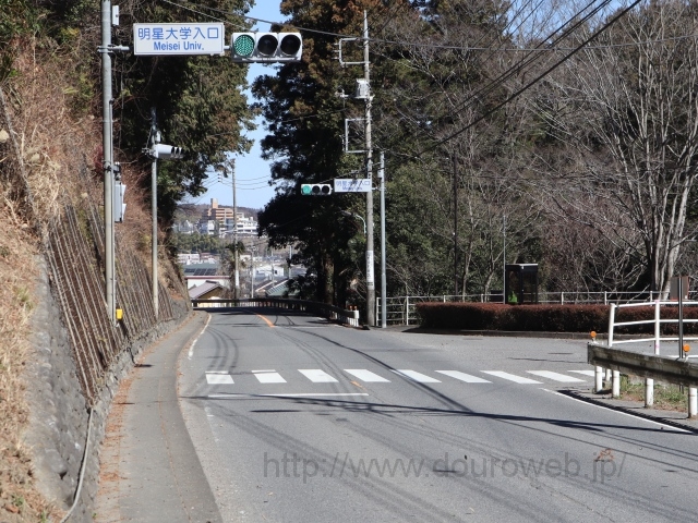 ���Ɓi�����j�N�_�̎ʐ^