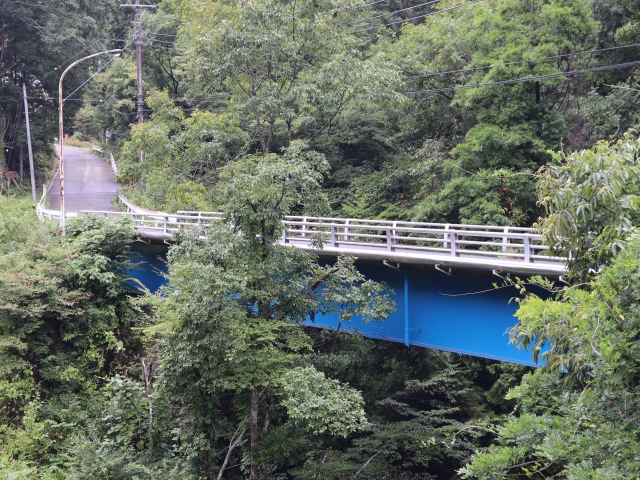 新大平橋の写真