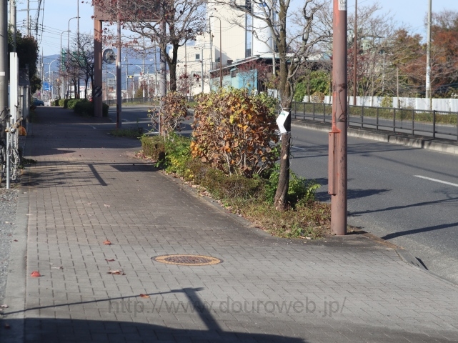 ���H��̎ʐ^