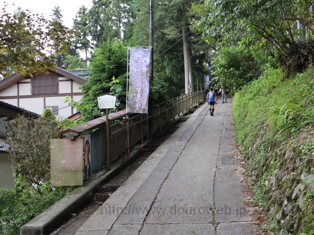 御岳山駅~神代のケヤキの写真
