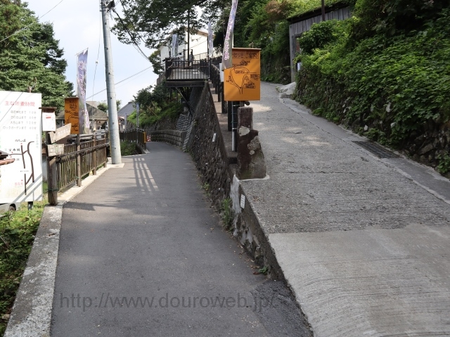 神代のケヤキ付近の分岐の写真