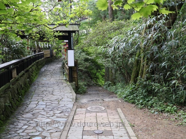 御岳山から日の出山の写真